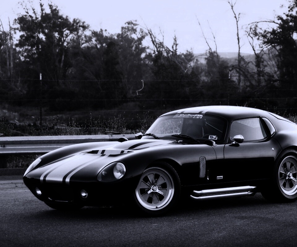 Shelby Daytona обои