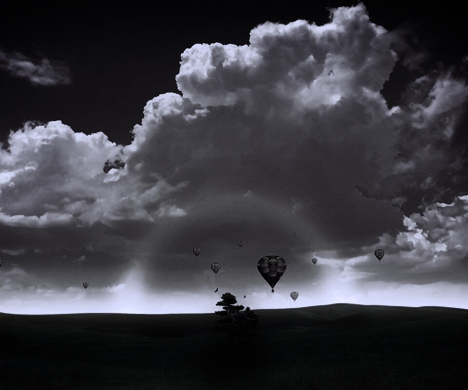 Мечты о полёте обои