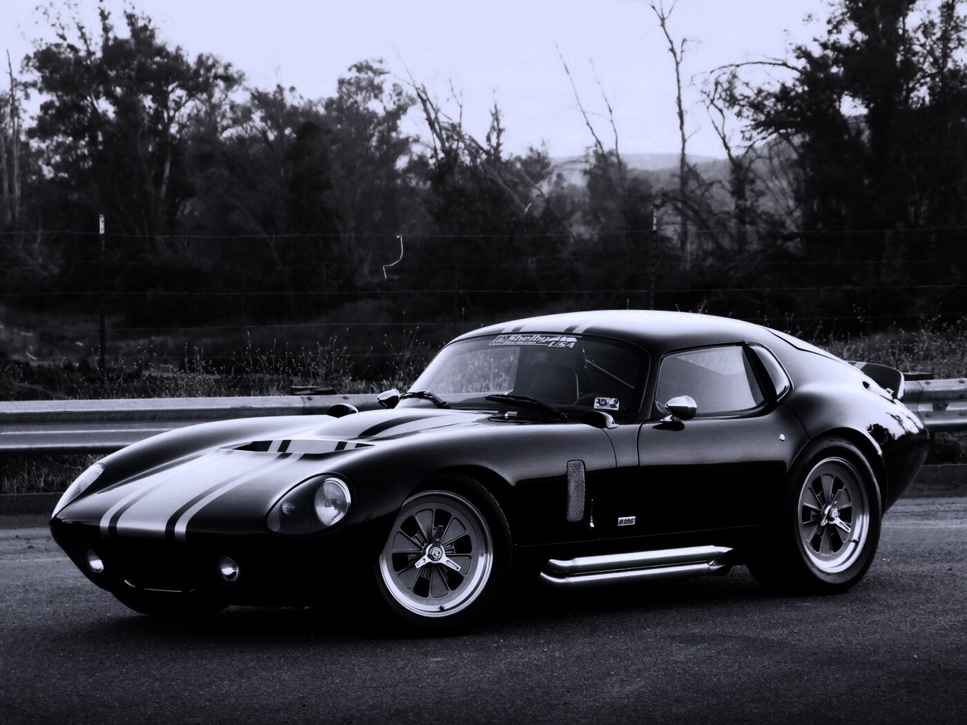 Shelby Daytona обои