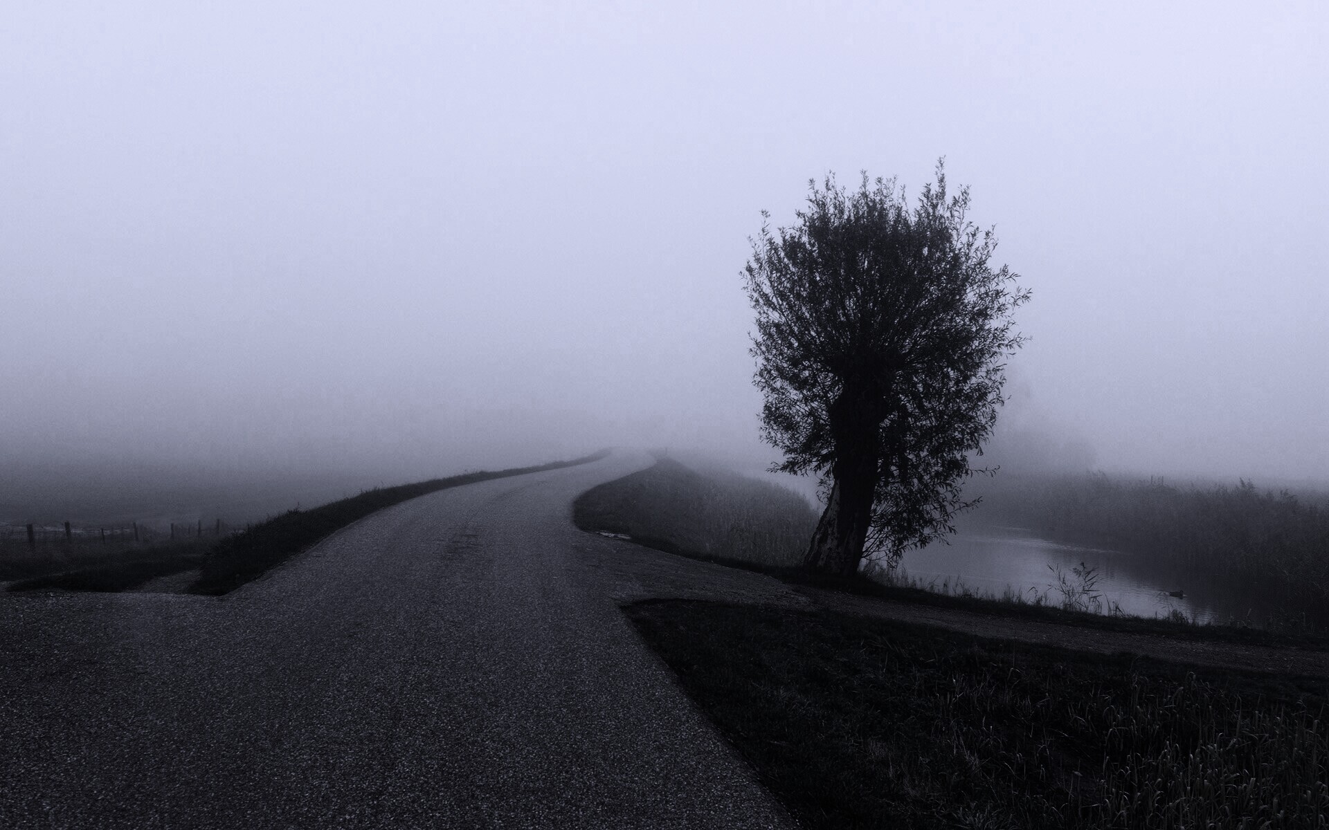 Дорога в тумане скачать
