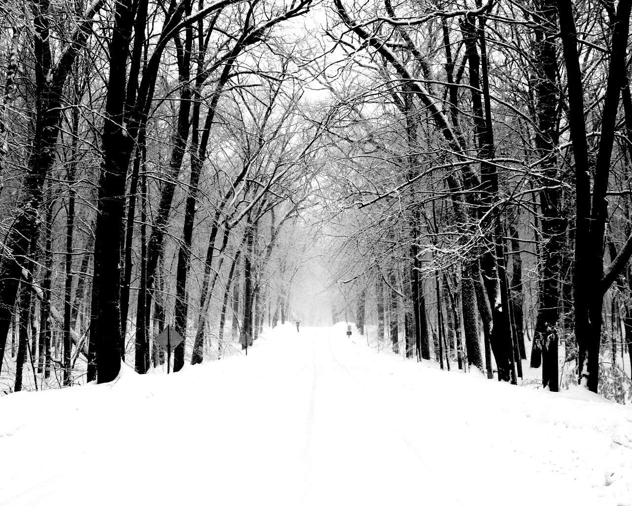 Дорога зимой в парке обои