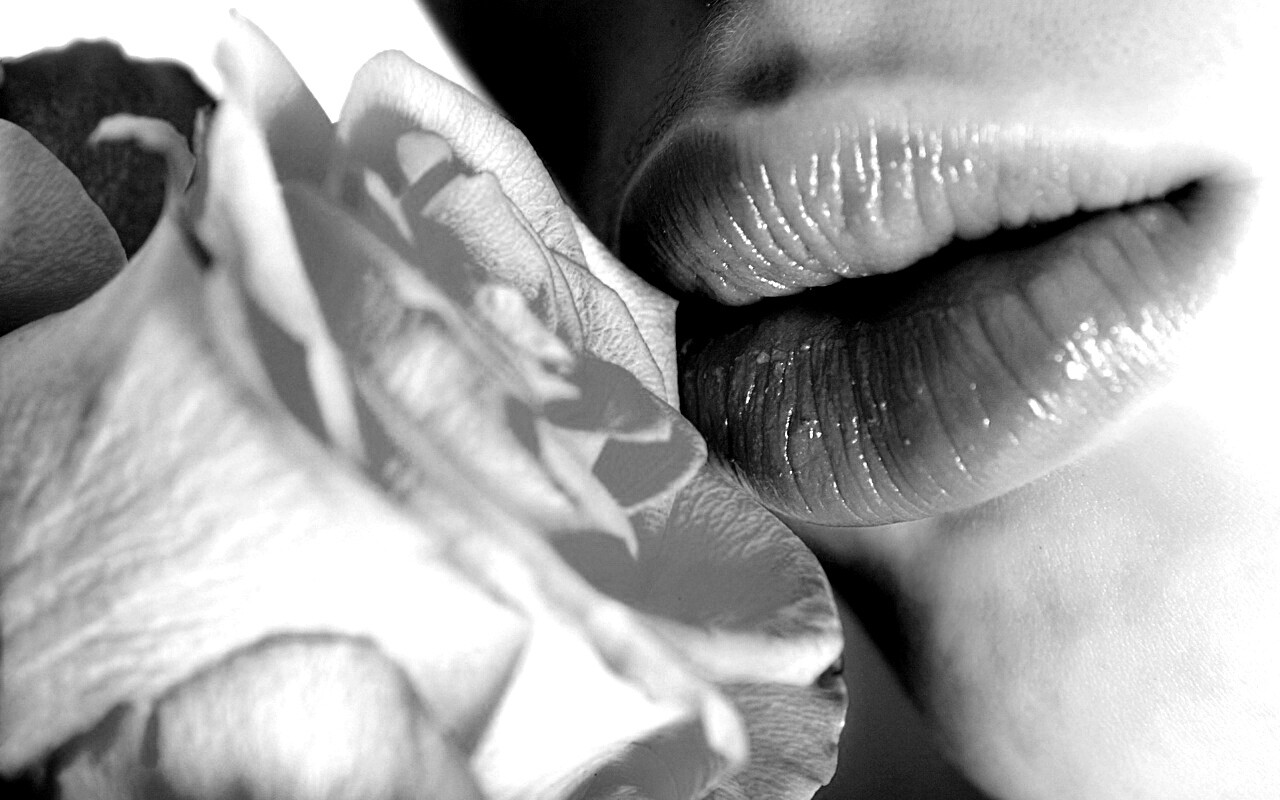 Губы девушки и роза обои