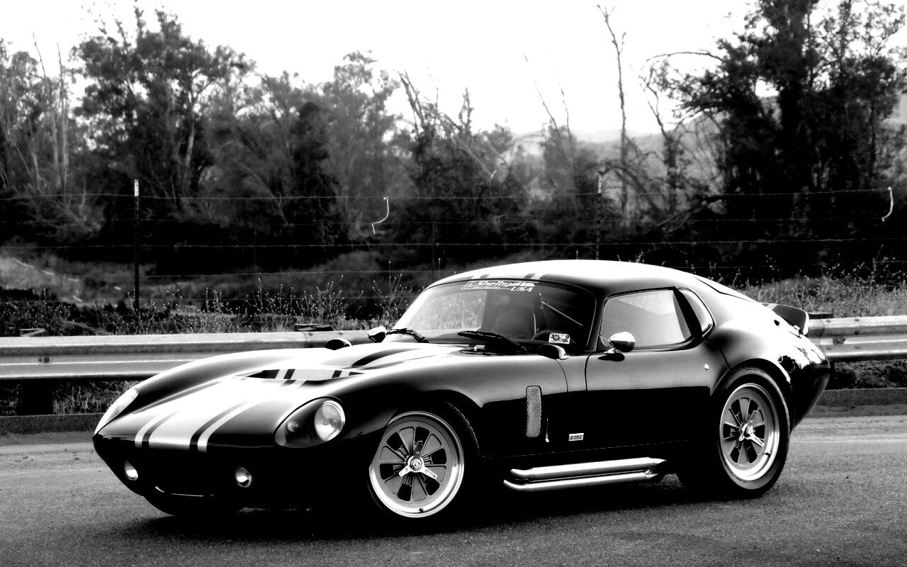 Shelby Daytona обои