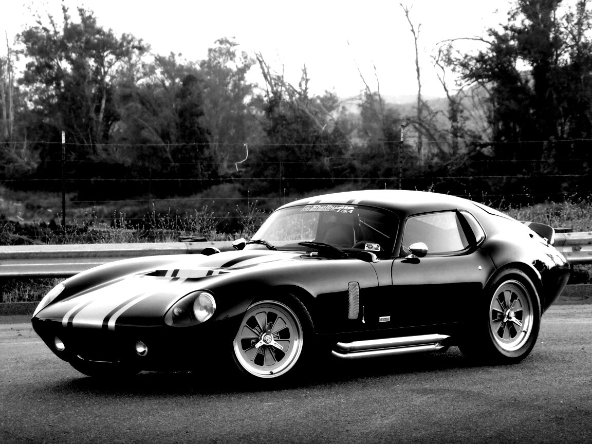 Shelby Daytona обои