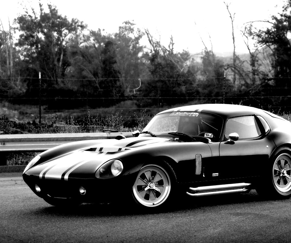 Shelby Daytona обои