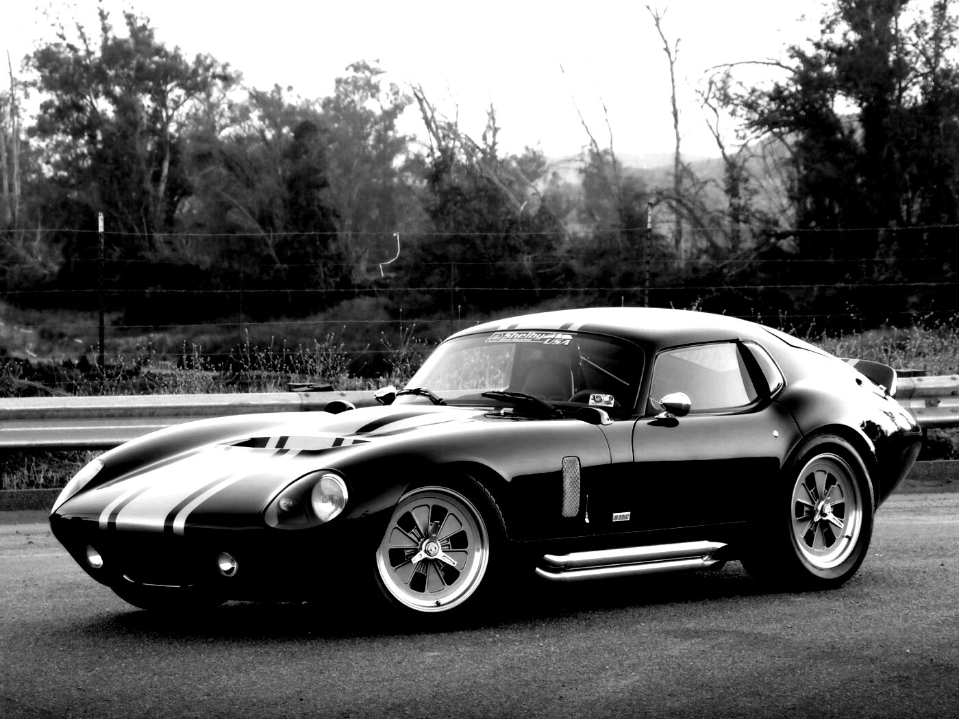 Shelby Daytona обои