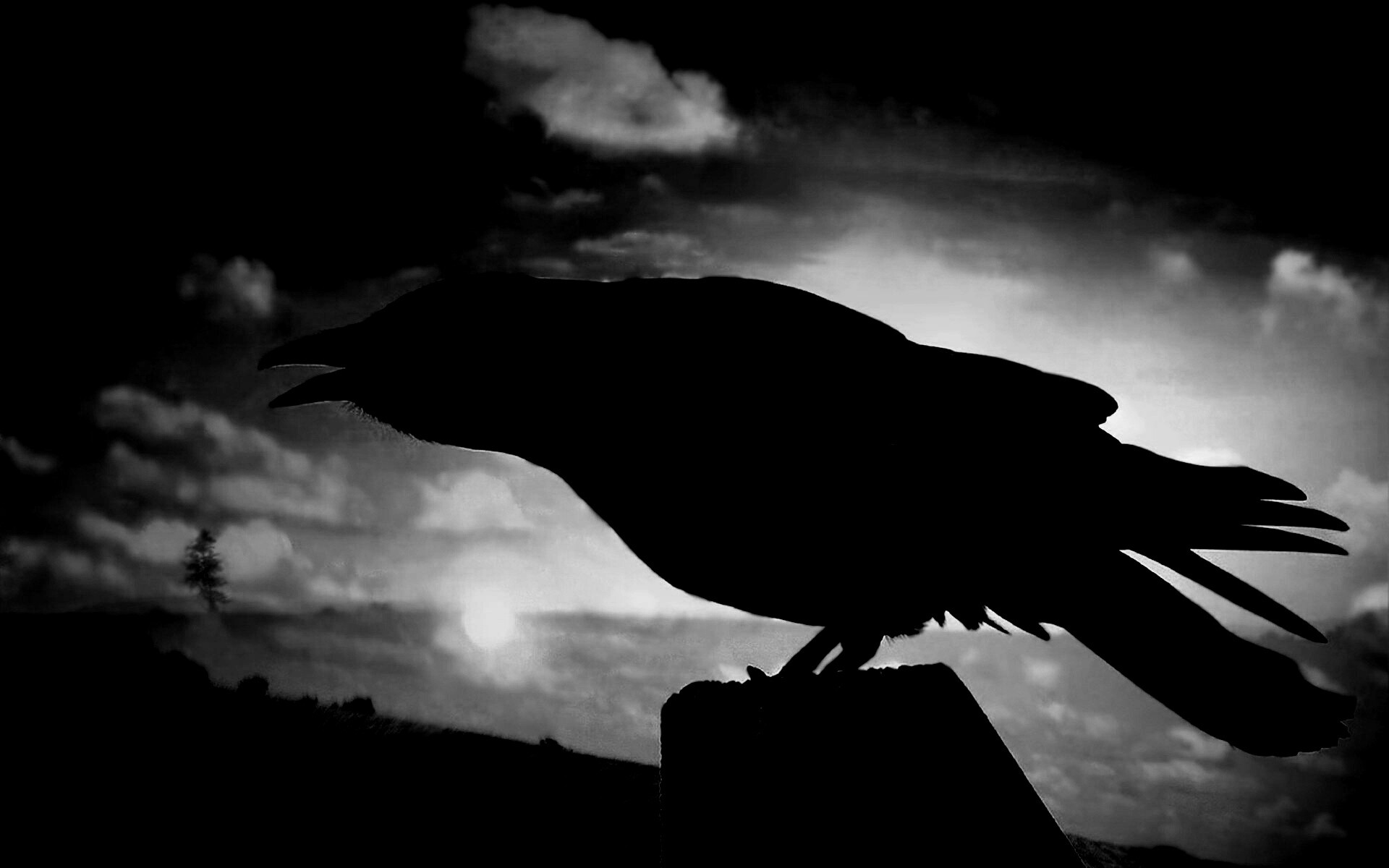 Черный ворон скачать