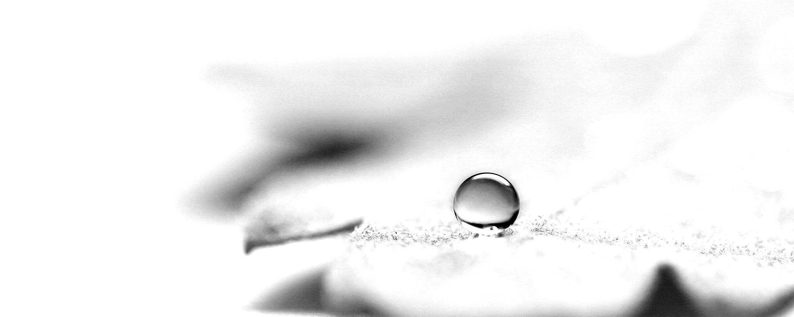 Капля на замёрзжем листе обои