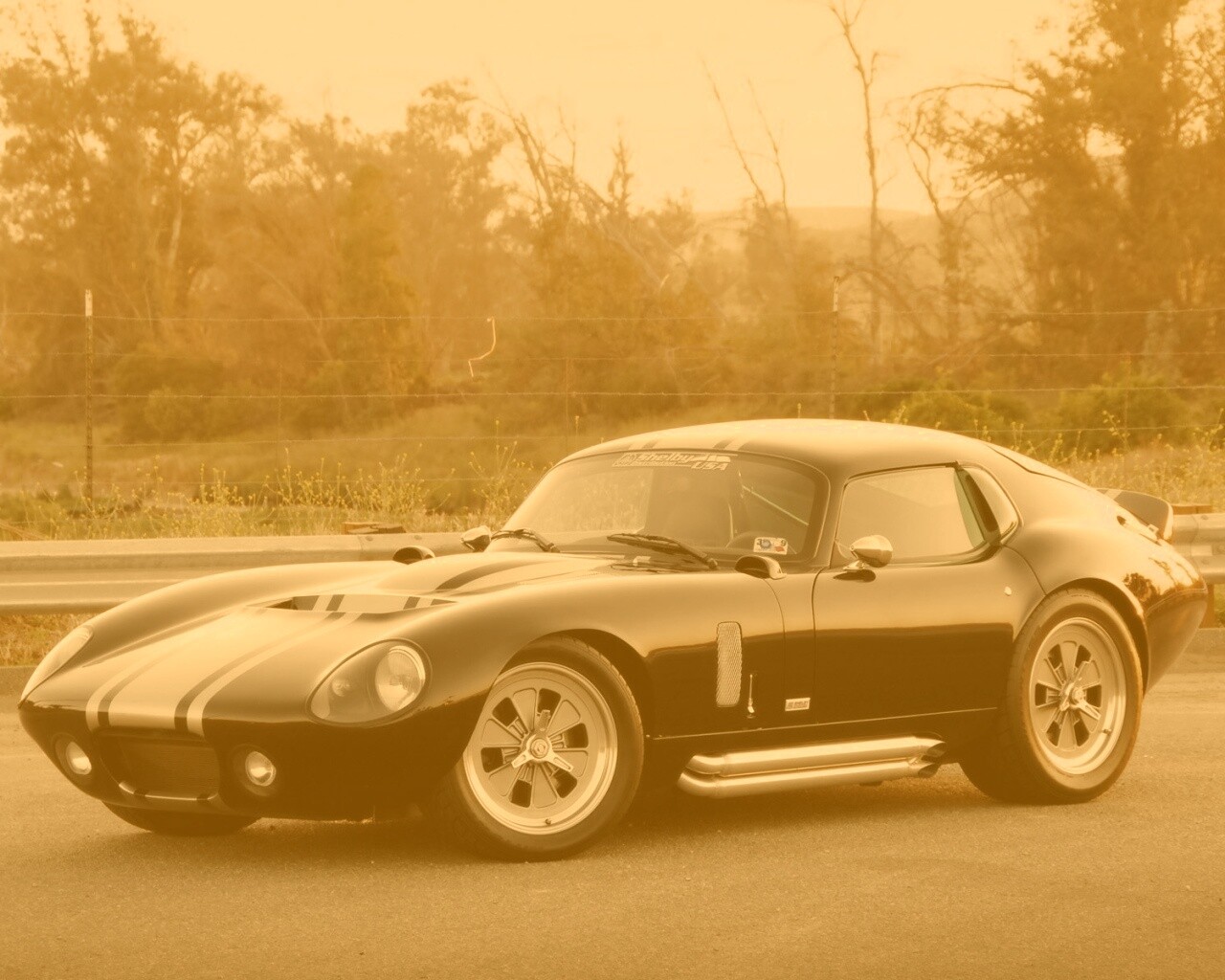 Shelby Daytona обои