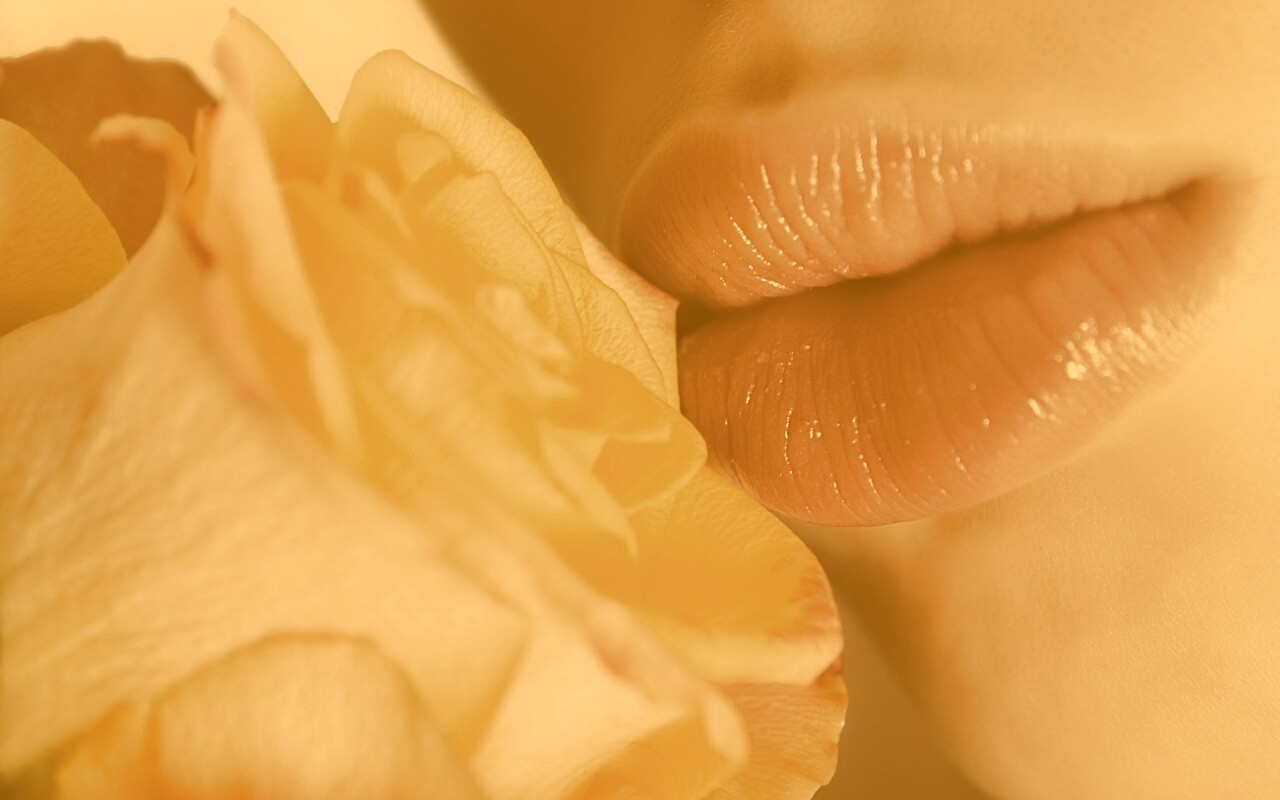 Губы девушки и роза обои