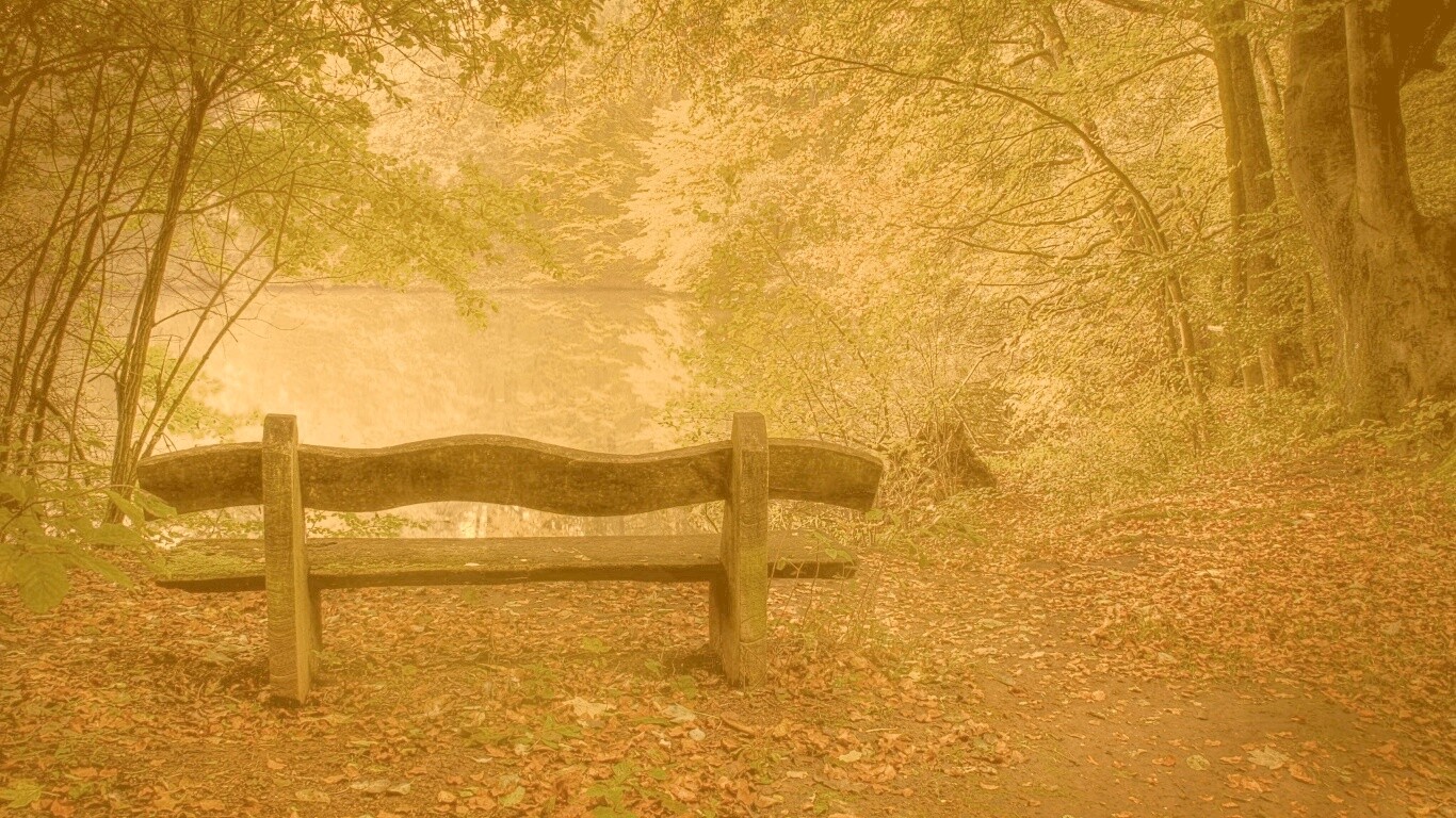 Скамейка в лесу обои