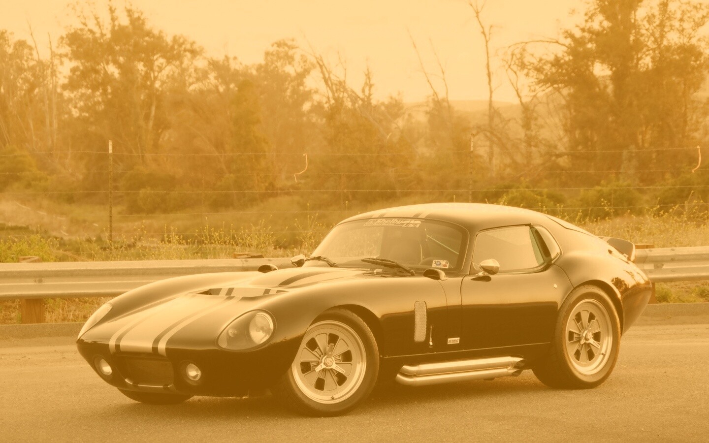 Shelby Daytona обои