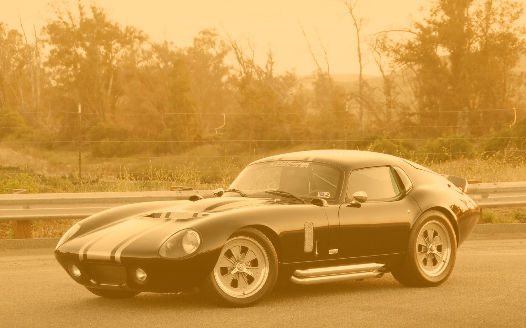 Shelby Daytona обои