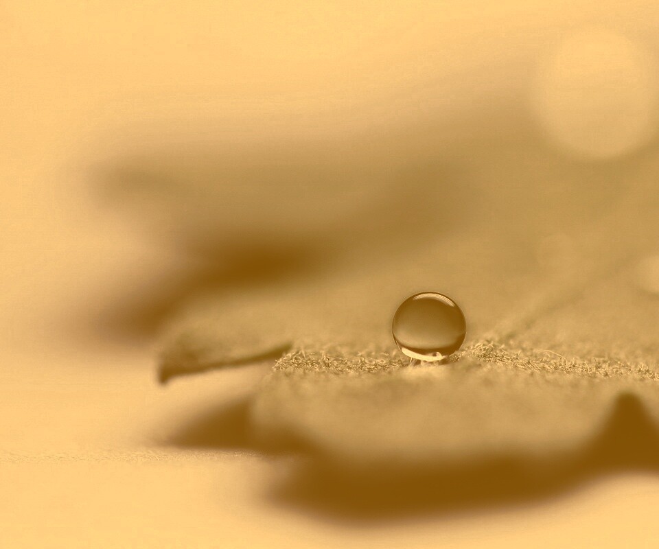 Капля на замёрзжем листе обои