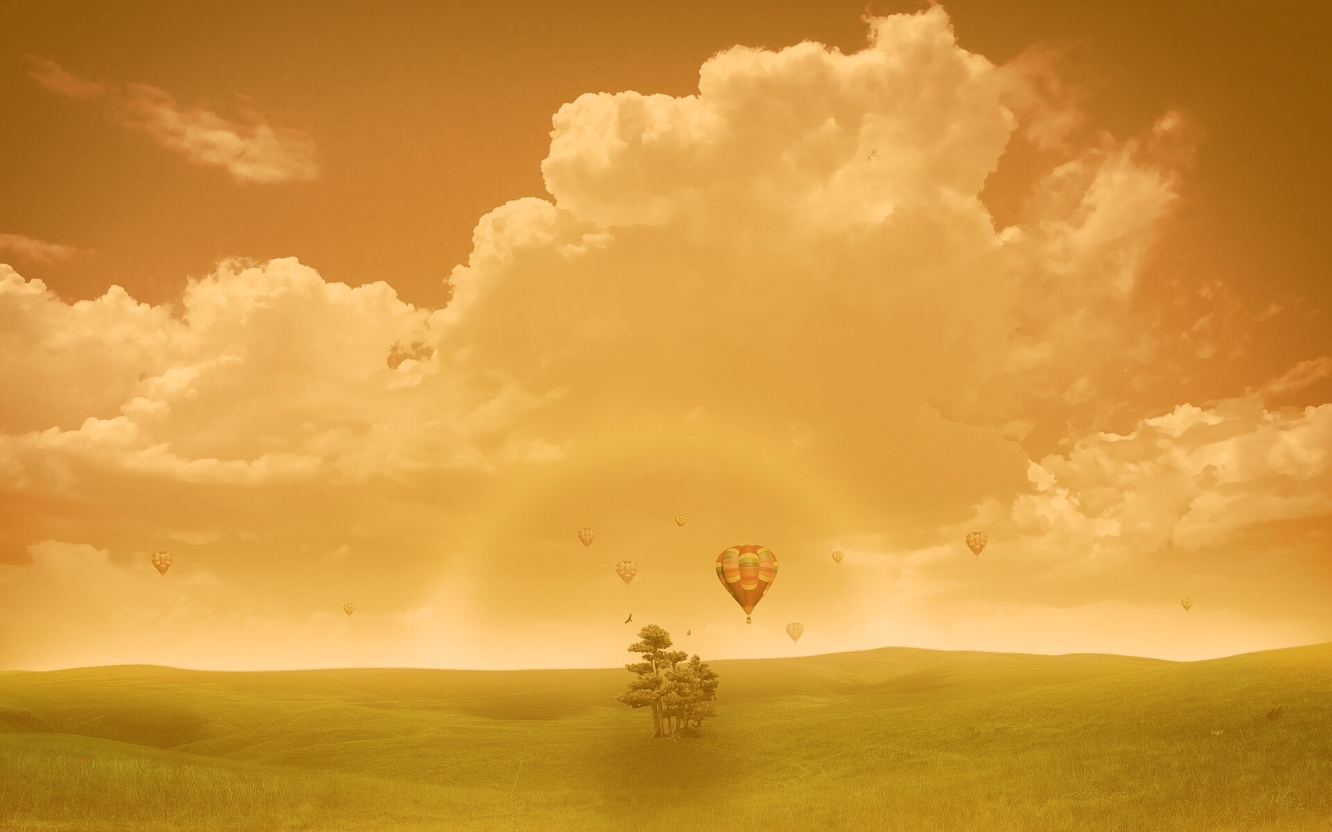 Мечты о полёте обои