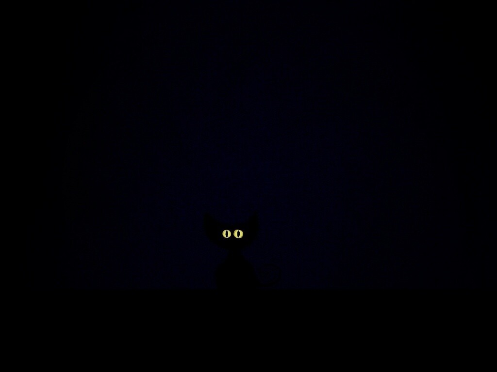 Чёрный кот в ночи обои
