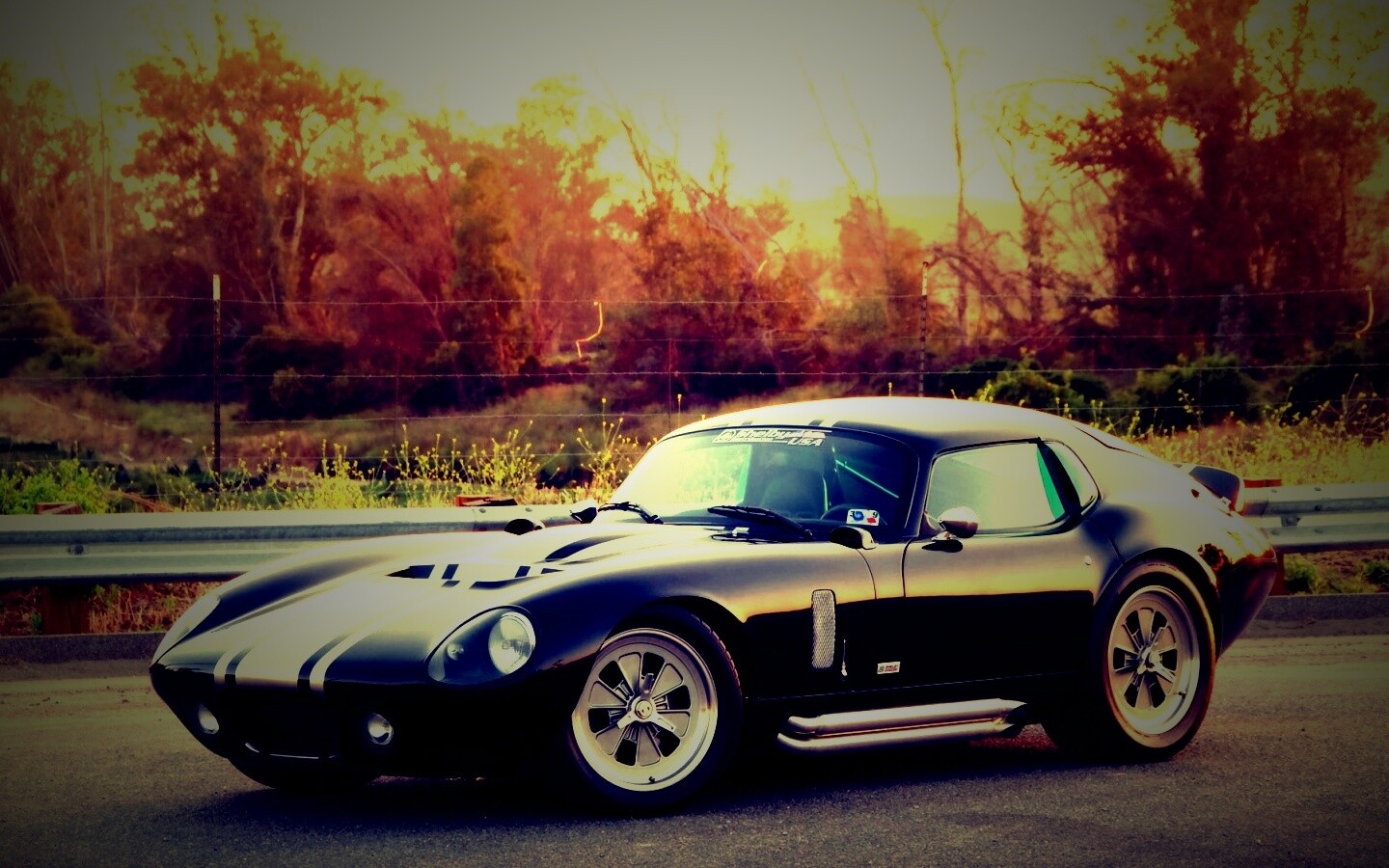 Shelby Daytona обои