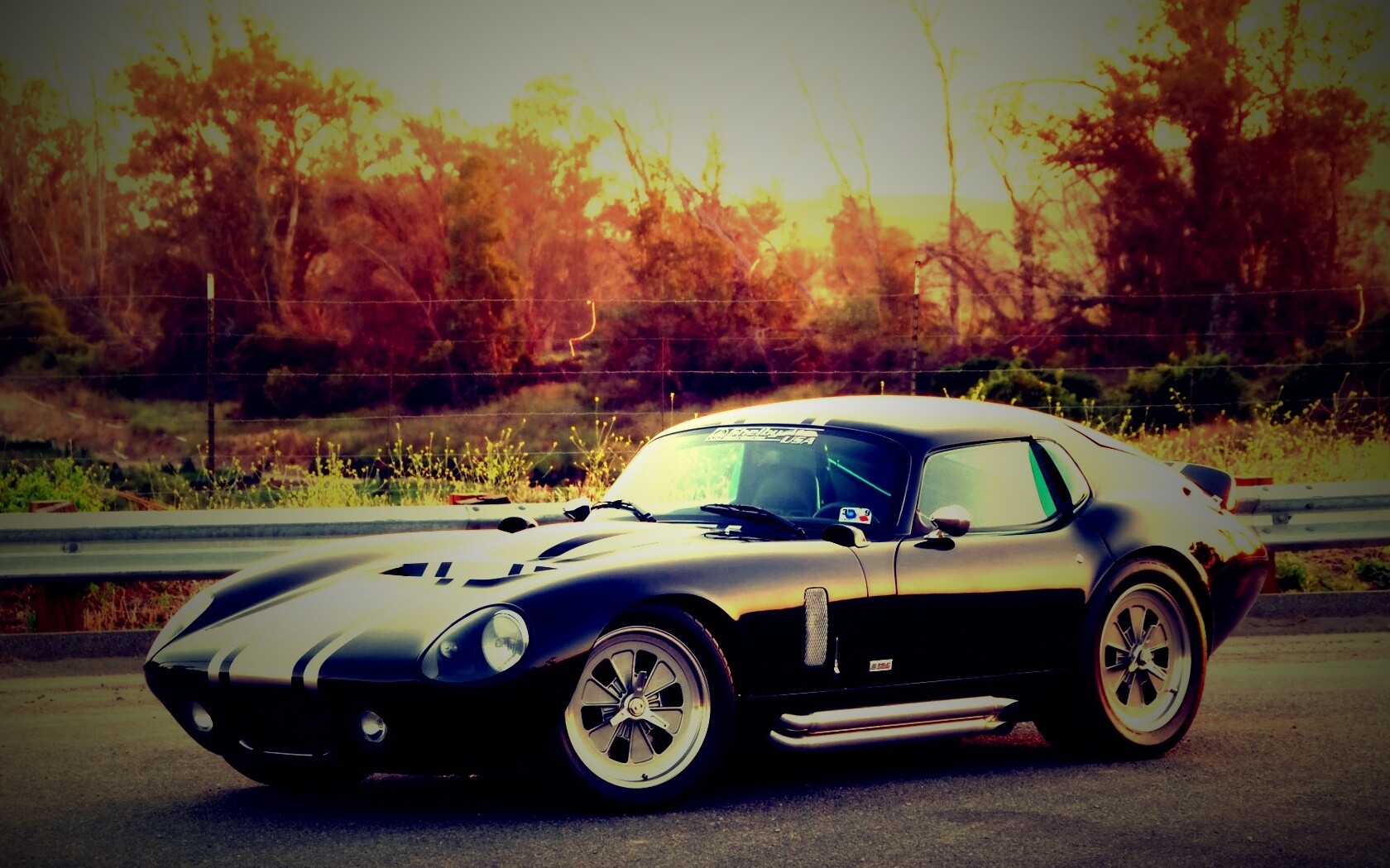 Shelby Daytona обои