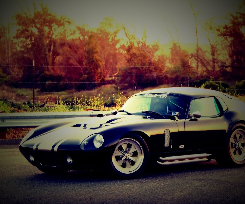 Shelby Daytona обои