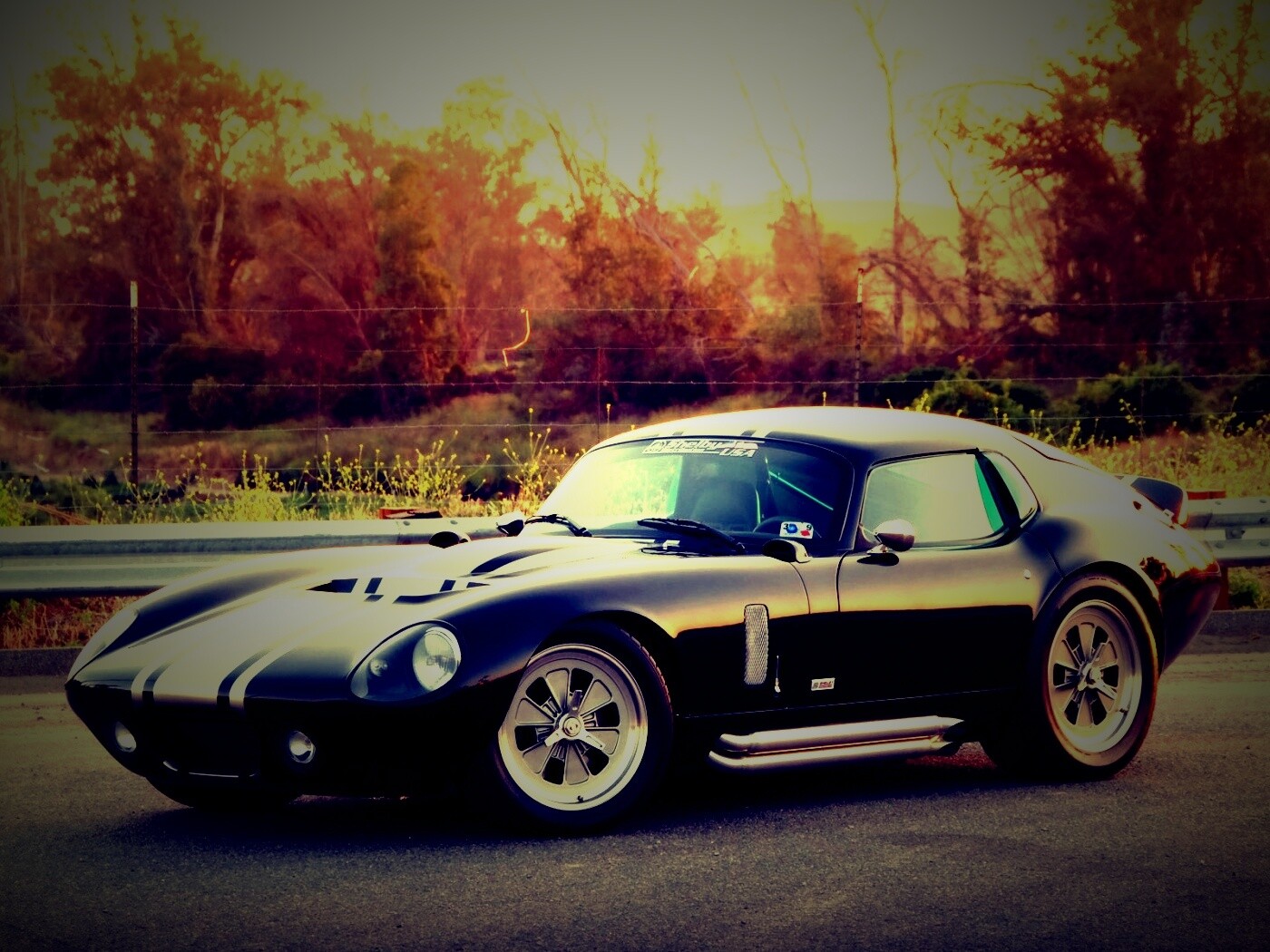 Shelby Daytona обои