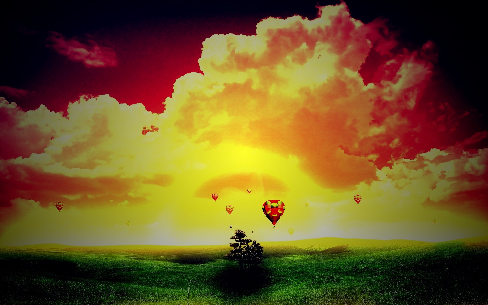 Мечты о полёте обои