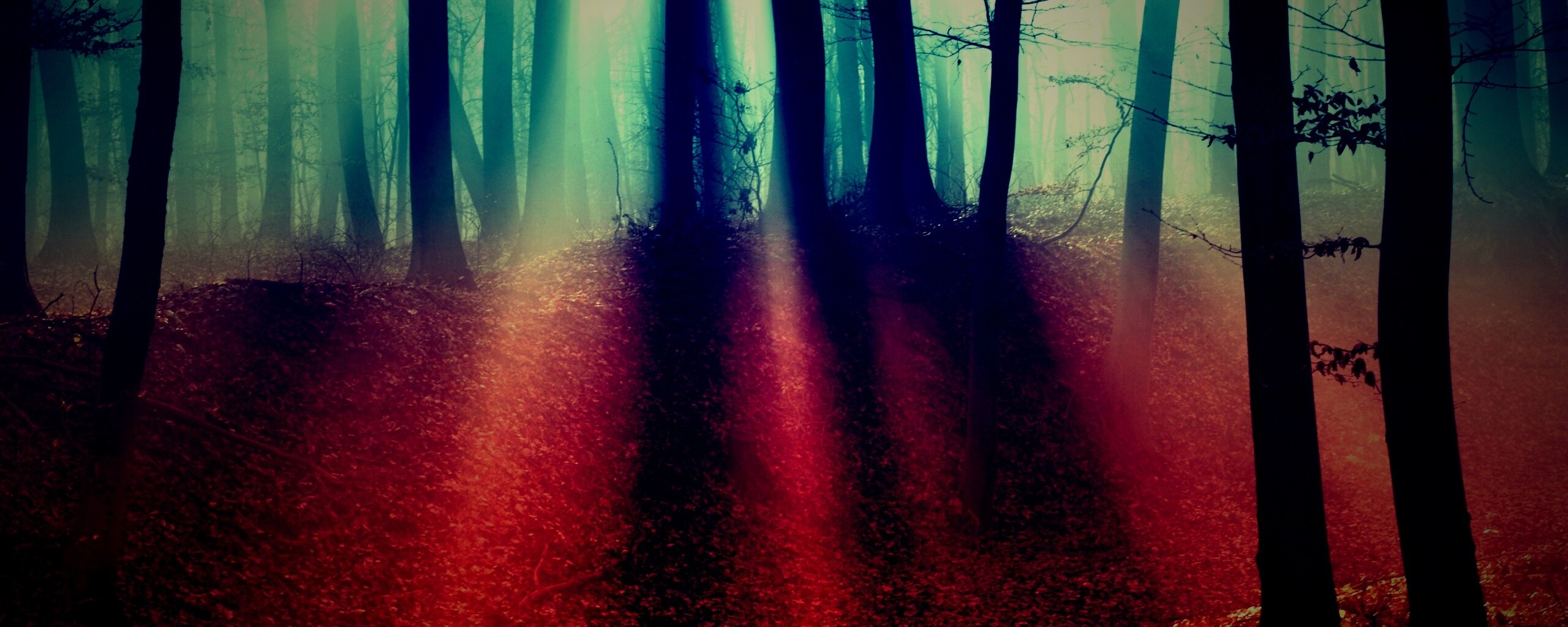 Мистические лес обои