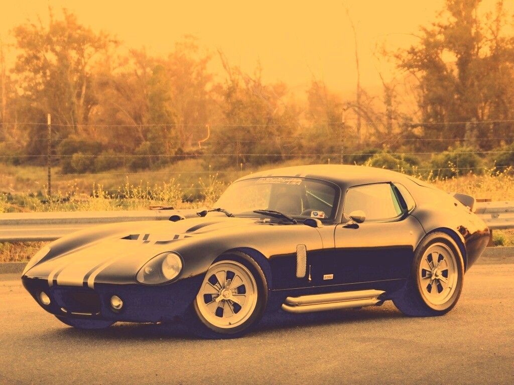 Shelby Daytona обои