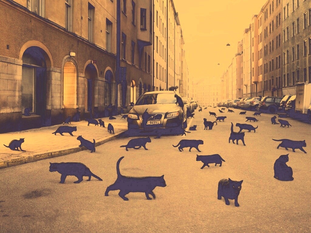 Город кошек обои