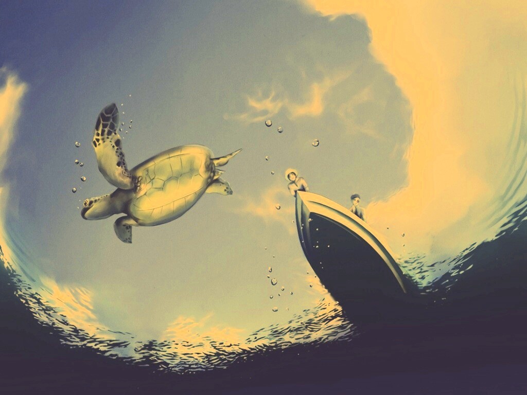 Катер и водная черепаха обои