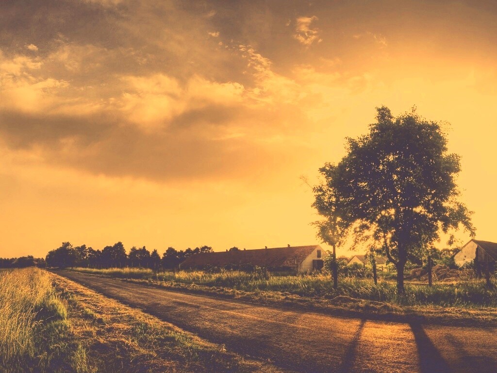 Закат на фоне дерева в HDR обои