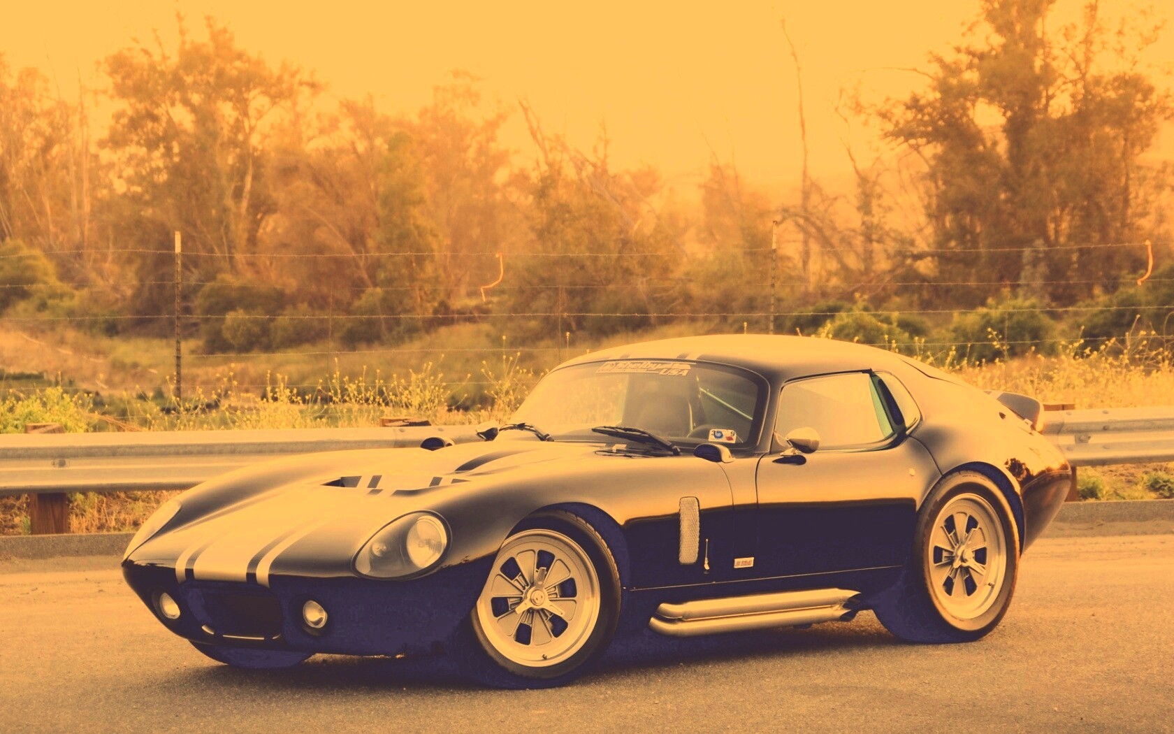 Shelby Daytona обои