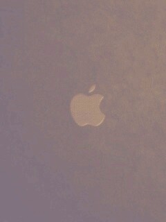 Логотип Apple в дереве обои