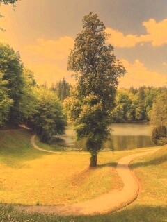 Прекрасная природа обои