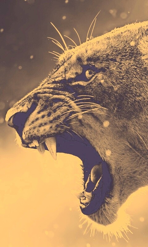 Грозный львиный рык обои