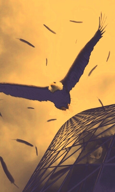 Орлиный полет обои