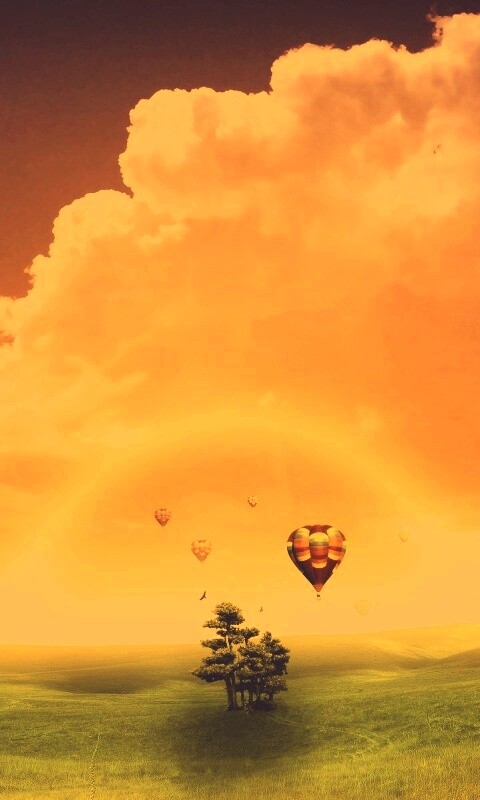 Мечты о полёте обои