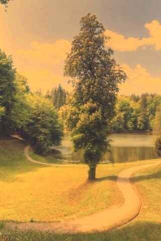 Прекрасная природа обои