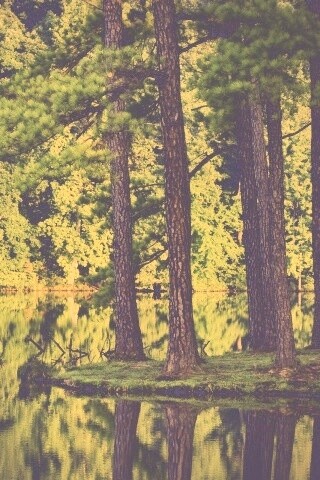 Островок посреди озера обои