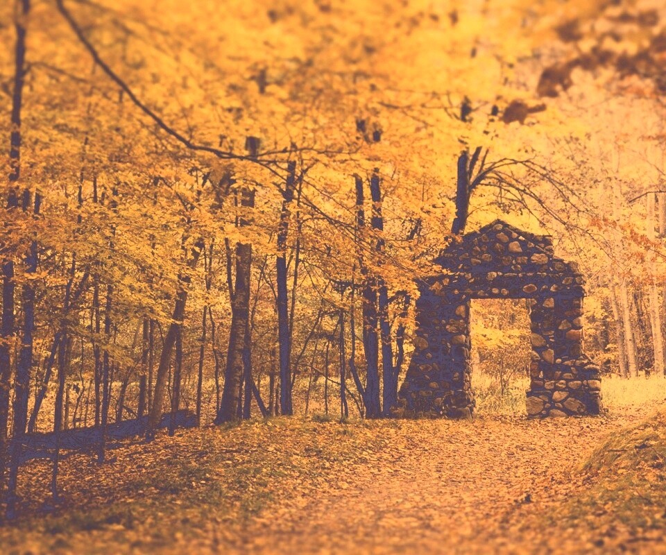 Каменная арка в осеннем лесу обои