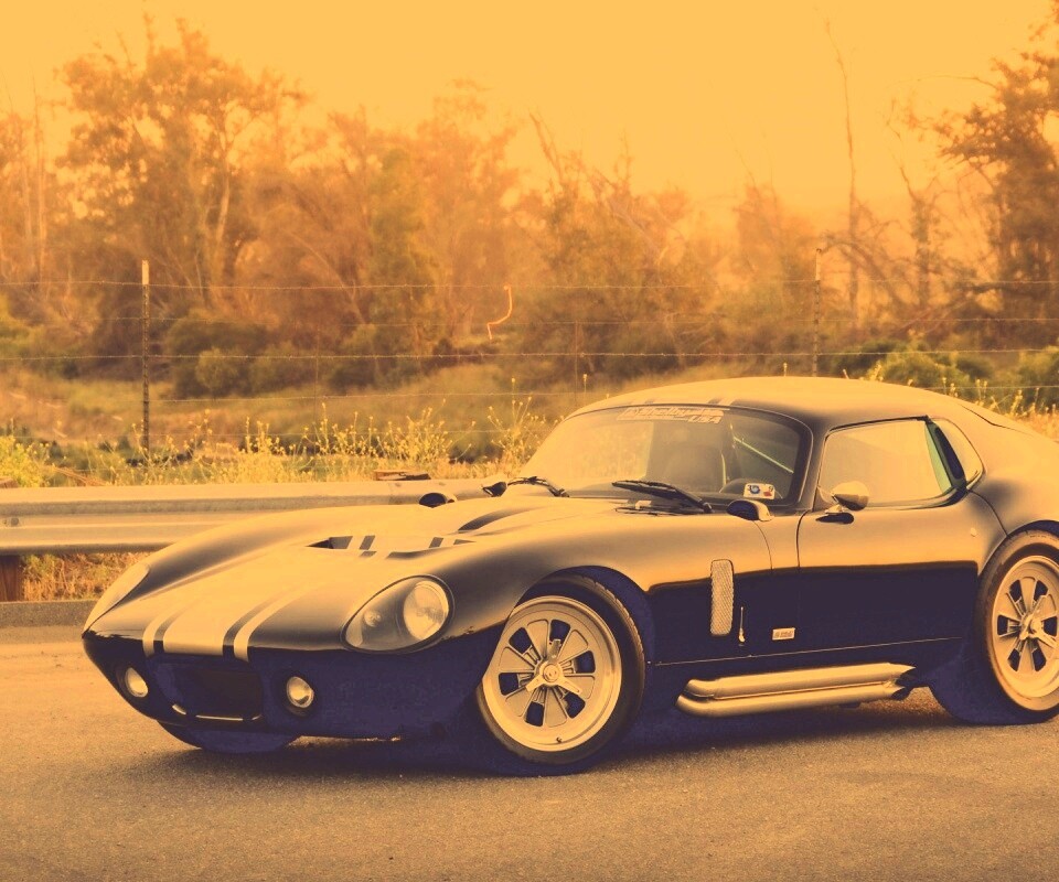 Shelby Daytona обои