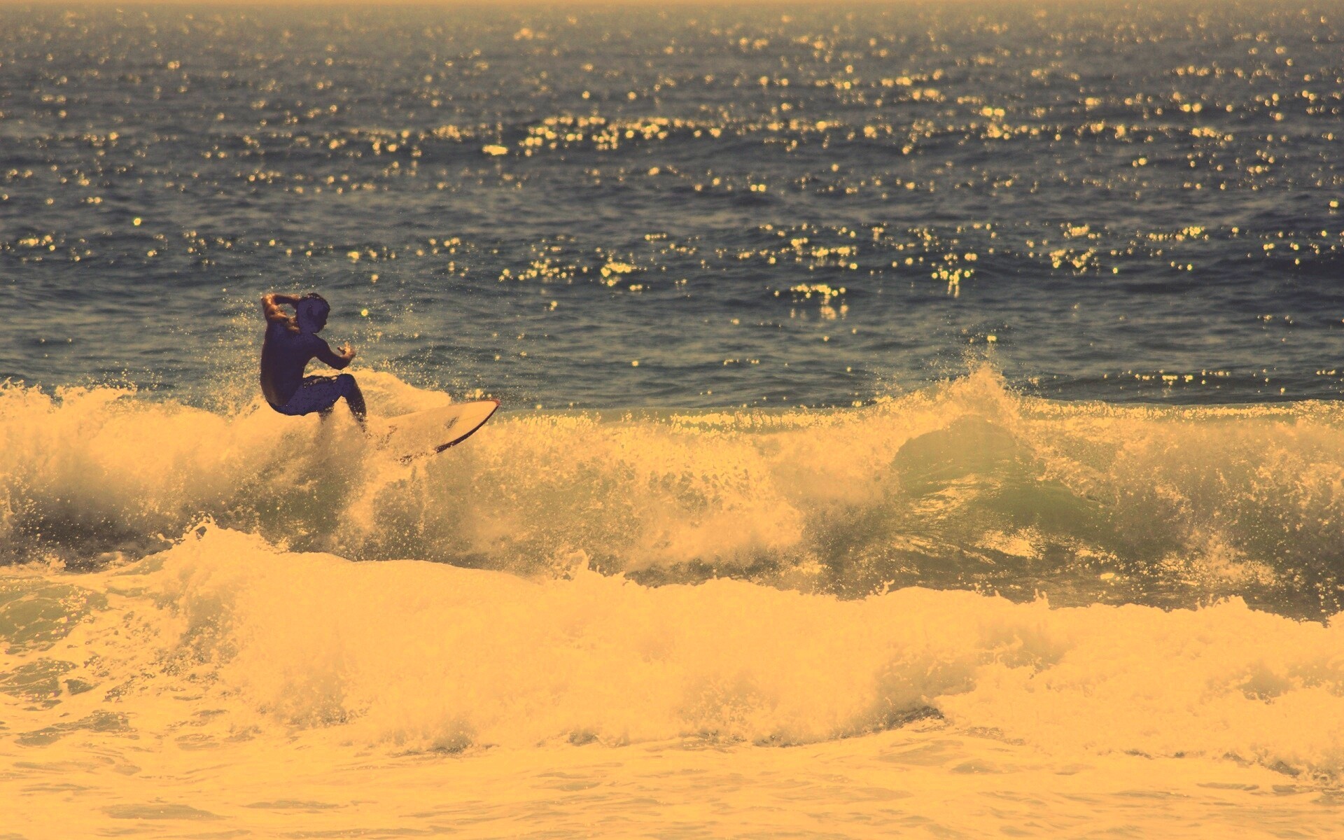 Сёрфенгист поймал волну обои