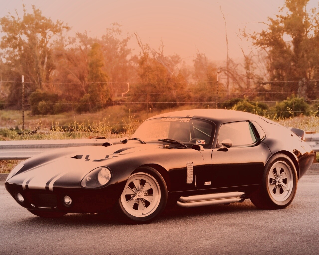 Shelby Daytona обои