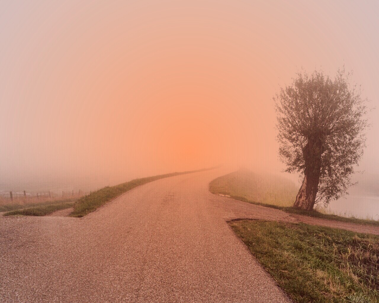 Дорога растворяется в тумане обои