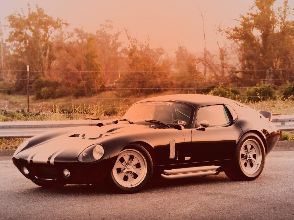 Shelby Daytona обои