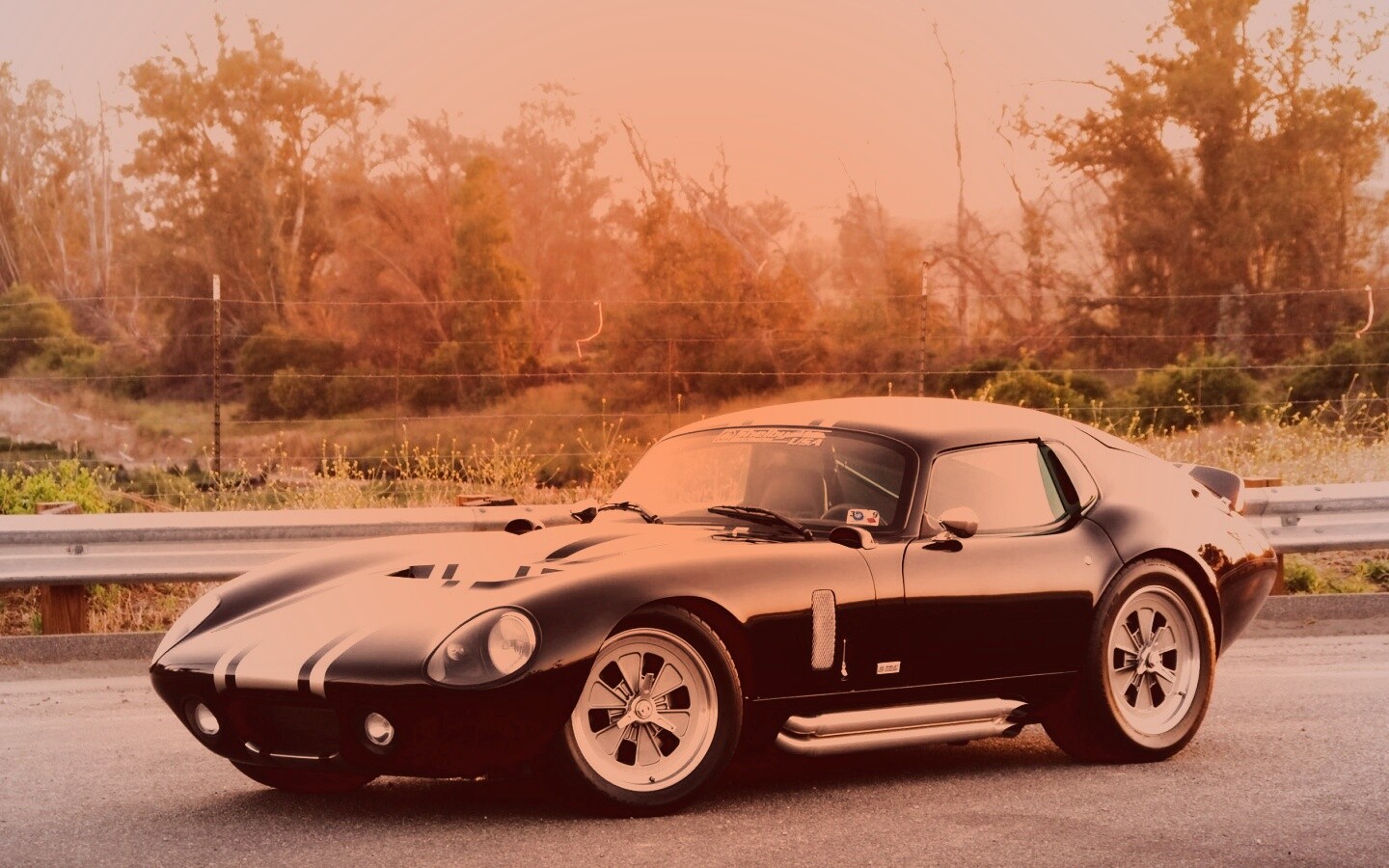 Shelby Daytona обои