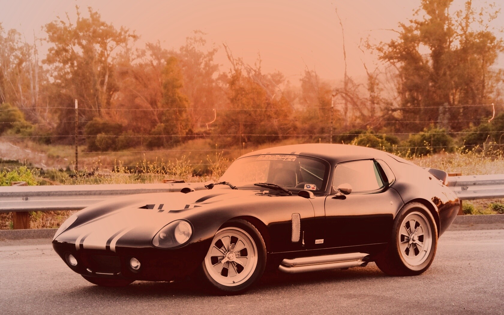 Shelby Daytona обои