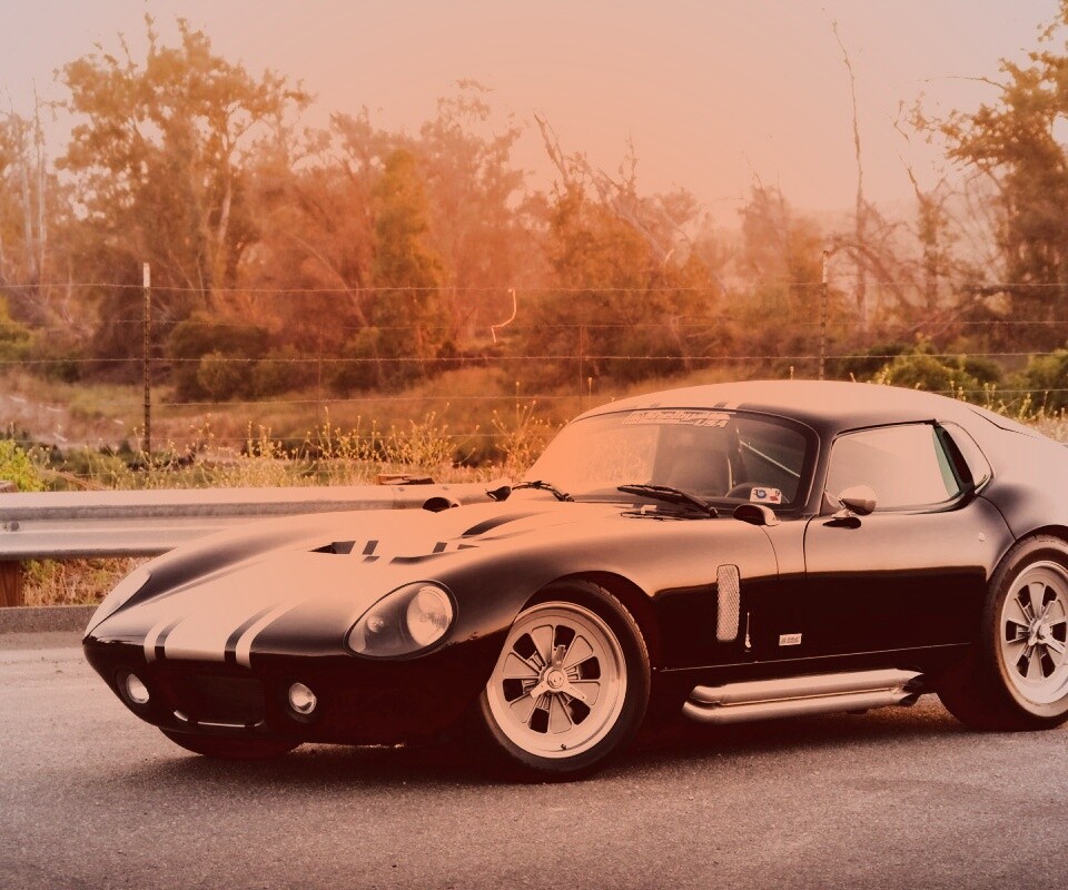 Shelby Daytona обои