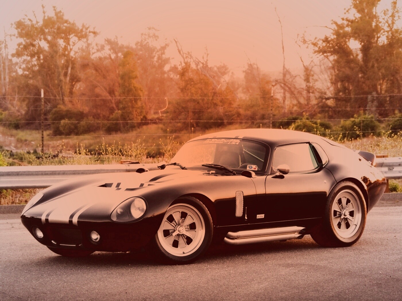 Shelby Daytona обои