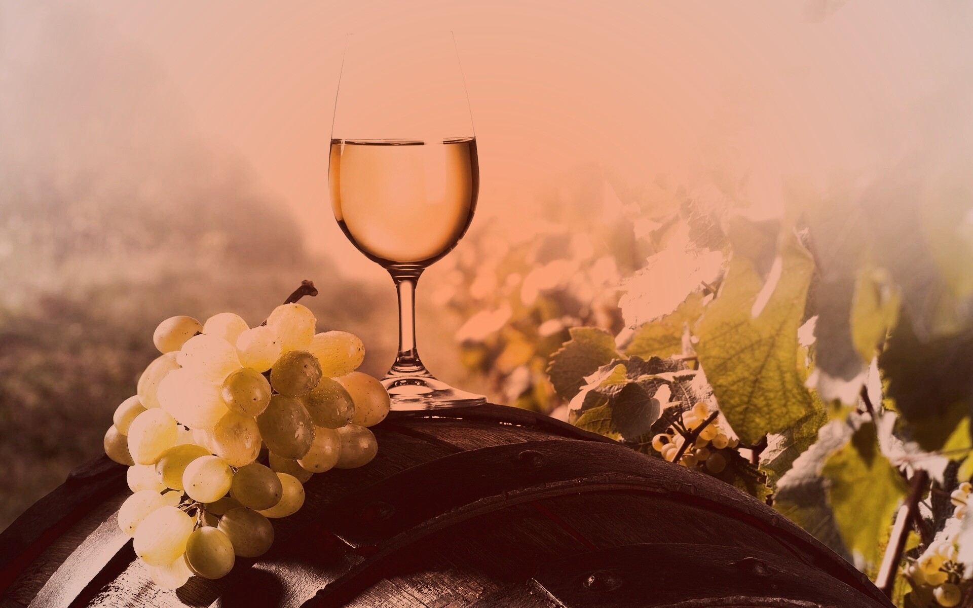 Вино бочки виноград загрузить