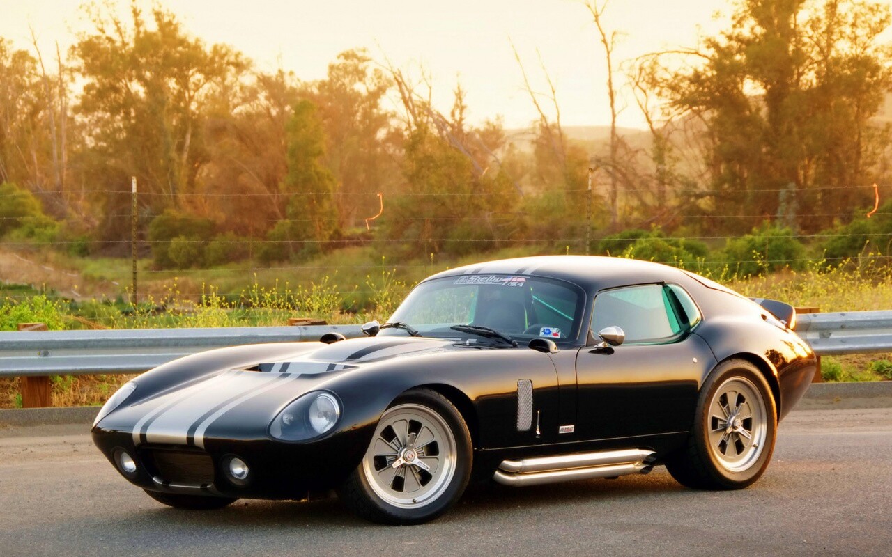 Shelby Daytona обои